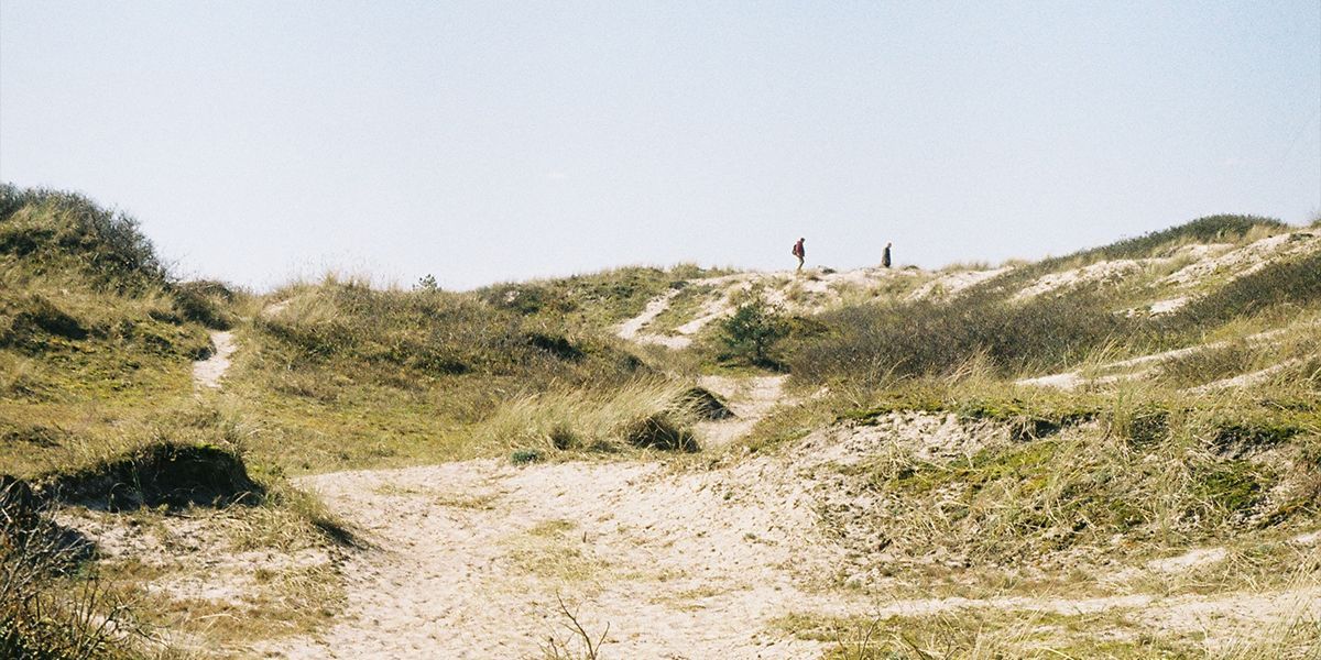 Two people walk along a rocky beach