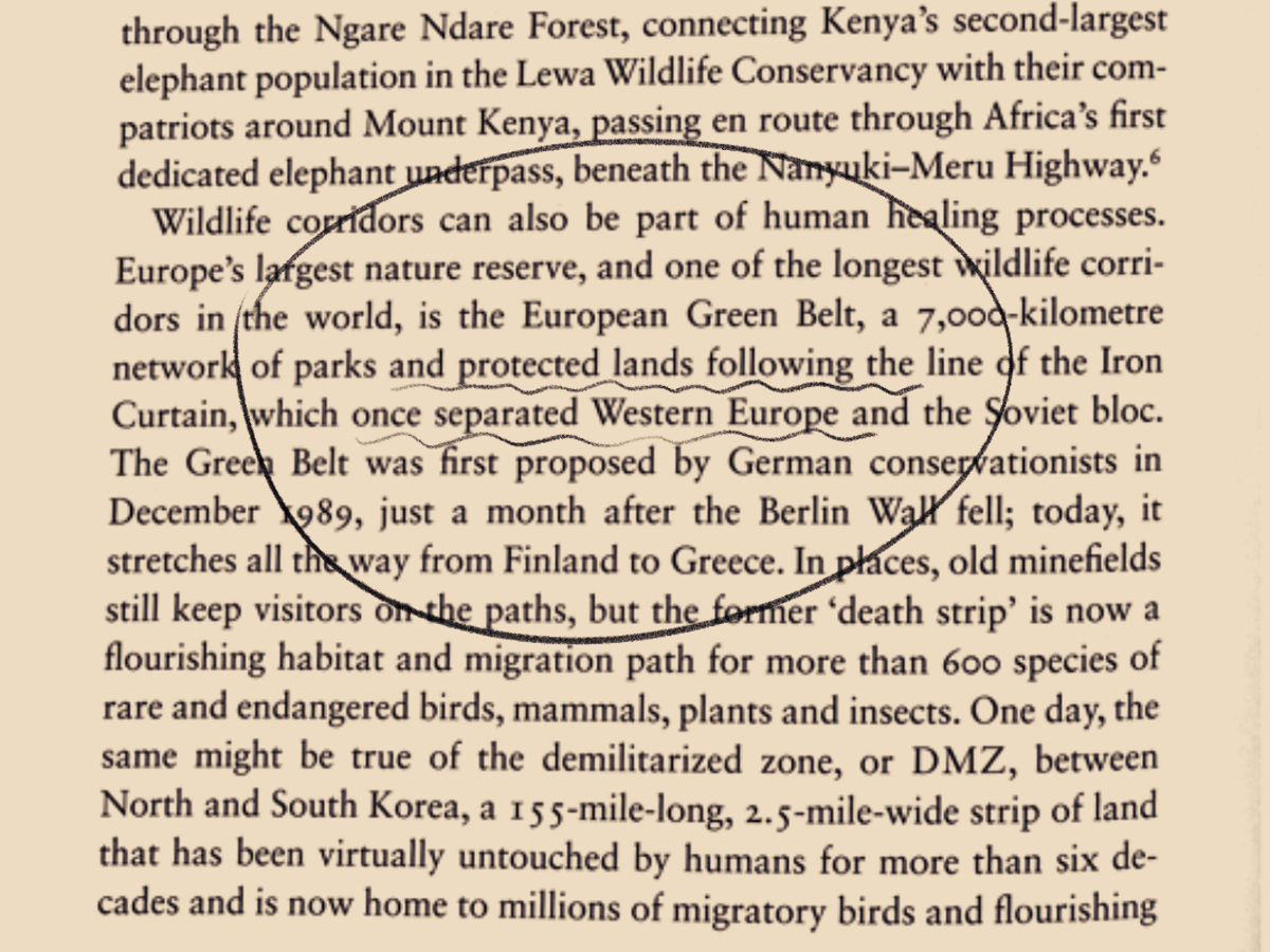 Image of a page of James Bridle's book 'Ways of Being' with the following text emphasized: Wildlife corridors can also be part of human healing processes. Europe's largest nature reserve, and one of the longest wildlife corridors in the world, is the European Green Belt, a 7,000-kilometre network of parks and protected lands following the line of the Iron Curtain, which once separated Western Europe and the Soviet bloc.The Green Belt was first proposed by German conservationists in December 1989, just a month after the Berlin Wall fell; today, it stretches all the way from Finland to Greece. In places, old minefields still keep visitors on the paths, but the former 'death strip' is now a flourishing habitat and migration path for more than 600 species of rare and endangered birds, mammals, plants and insects. (Bridle 292)