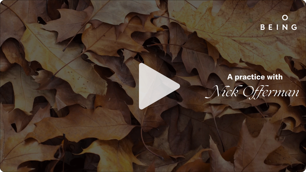Dried oak leaves in light motion behind a triangular play button and the text 
