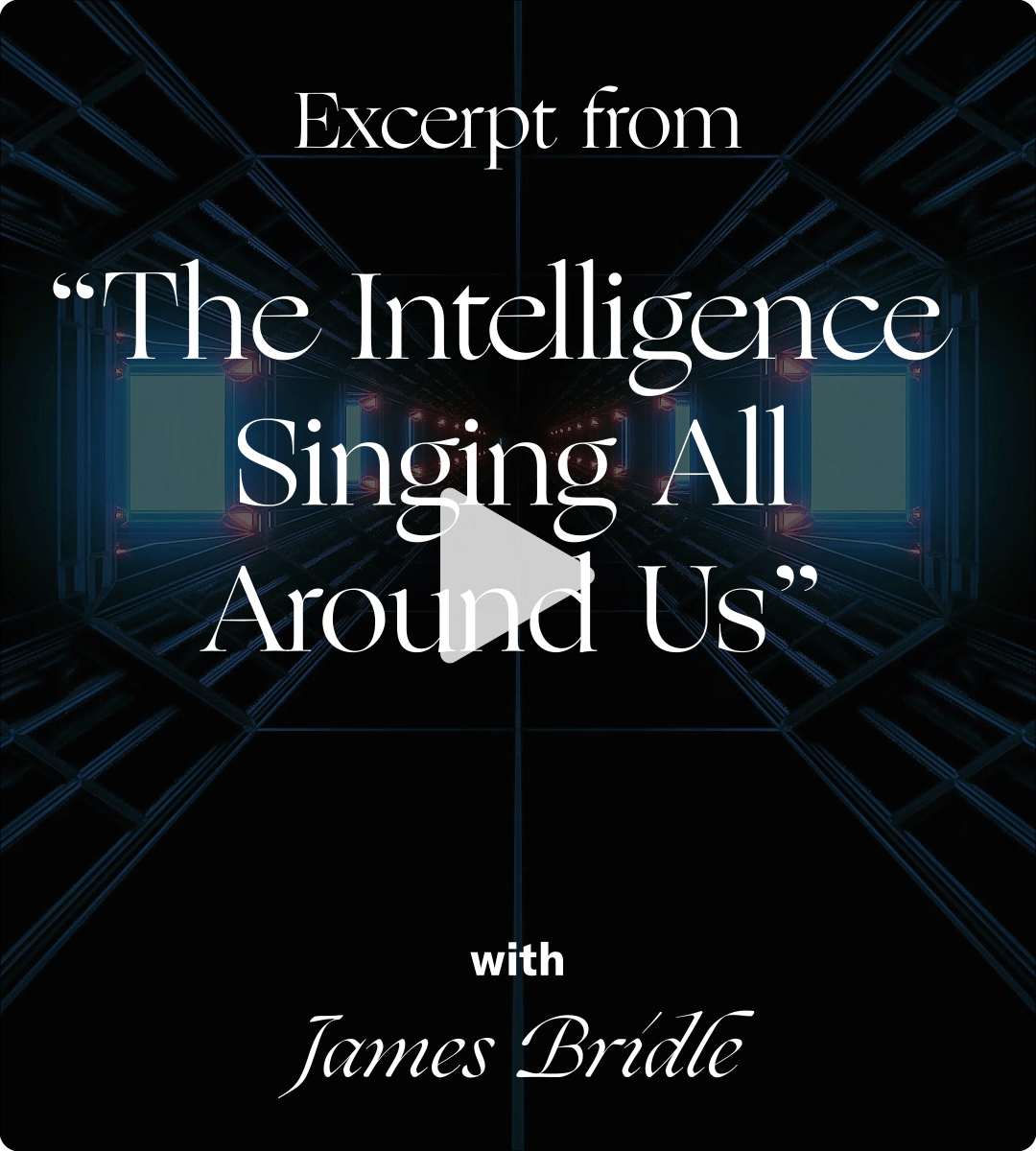 Gif of a video with a play button visible. The title card of the video reads: Excerpt from 'The Intelligence Singing All Around Us' with James Bridle.